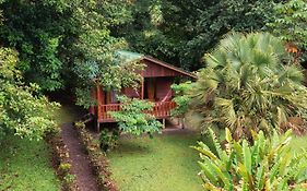 Cataratas Bijagua Lodge, Incluye Tour Autoguiado Bijagua Waterfalls Hike